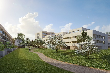 Giebeldachhaus mit Wiese